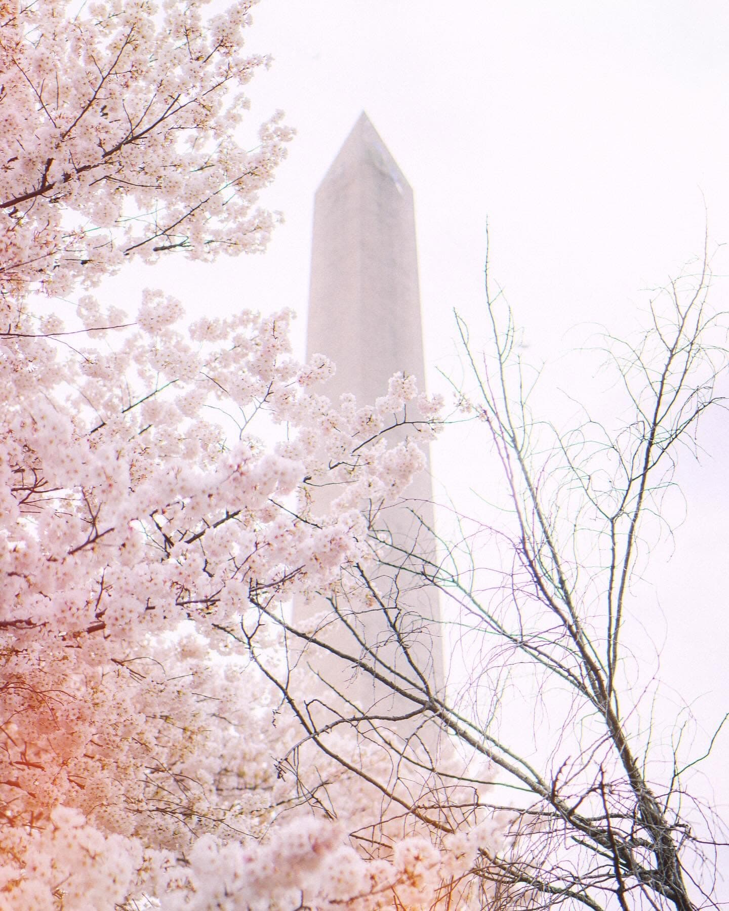 Photograph by Justine Magnan