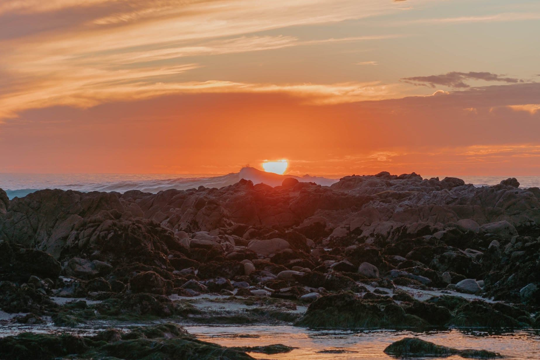 Photograph by Justine Magnan