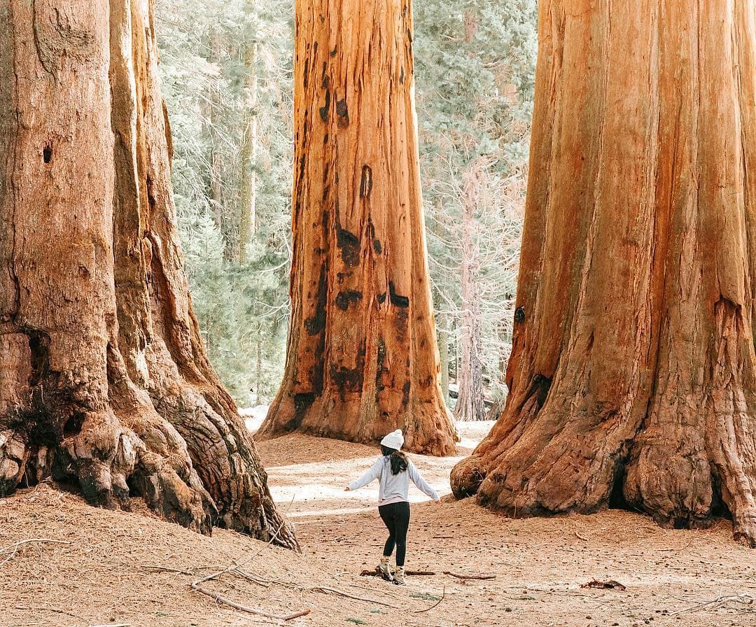 Photograph by Justine Magnan